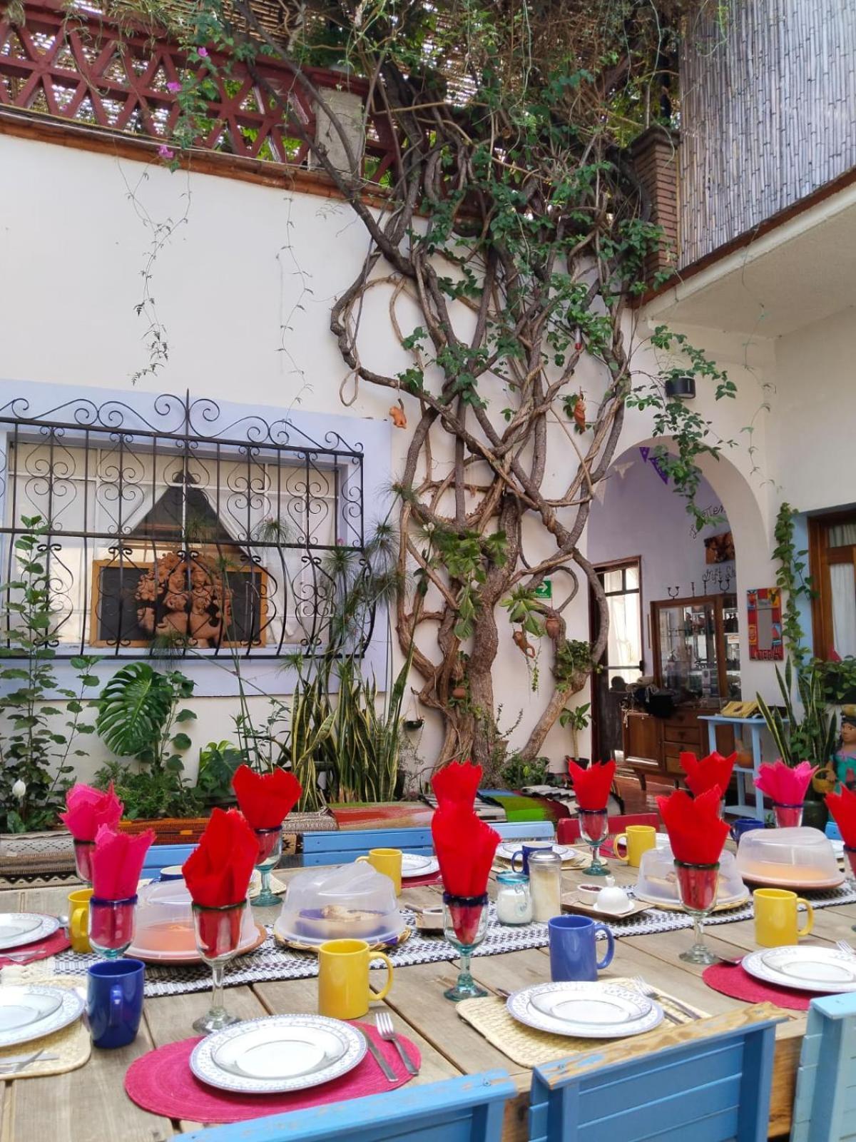 El Diablo Y La Sandia B&B Oaxaca Ngoại thất bức ảnh
