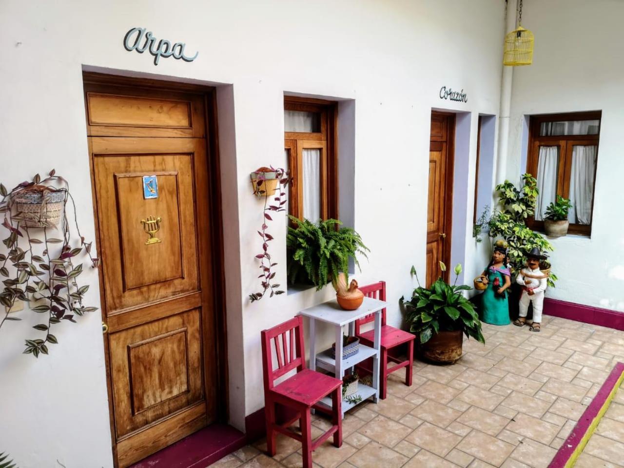 El Diablo Y La Sandia B&B Oaxaca Ngoại thất bức ảnh