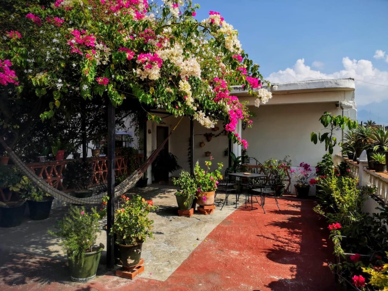 El Diablo Y La Sandia B&B Oaxaca Ngoại thất bức ảnh