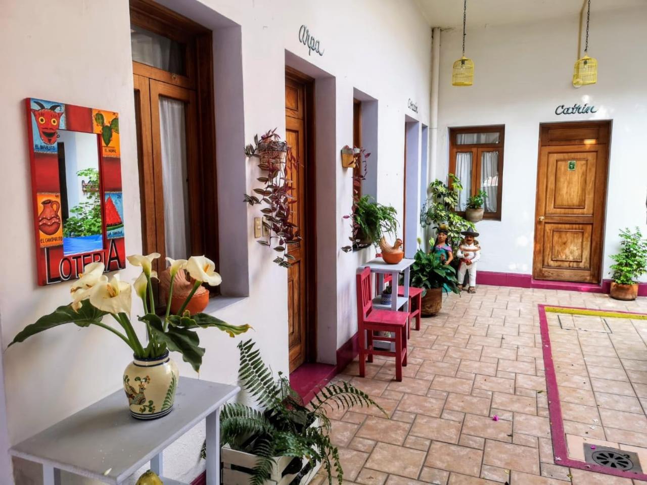 El Diablo Y La Sandia B&B Oaxaca Ngoại thất bức ảnh